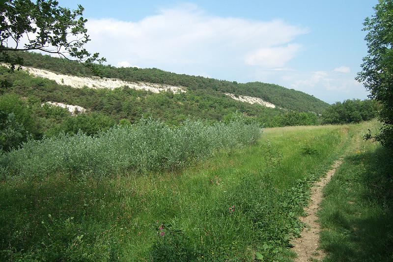 2011-05- (1397).JPG